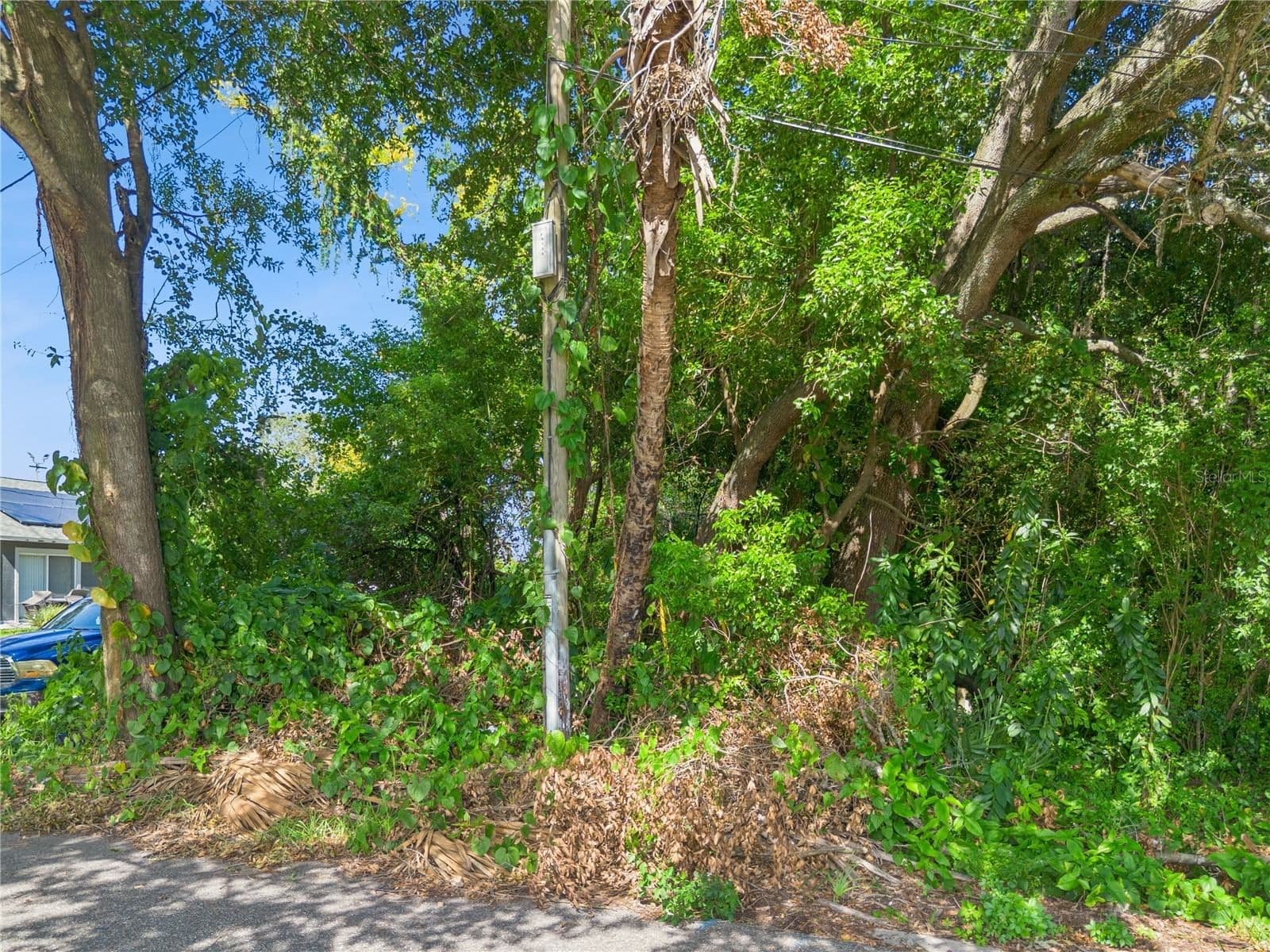 Photo 4 of 9149 AVENUE A