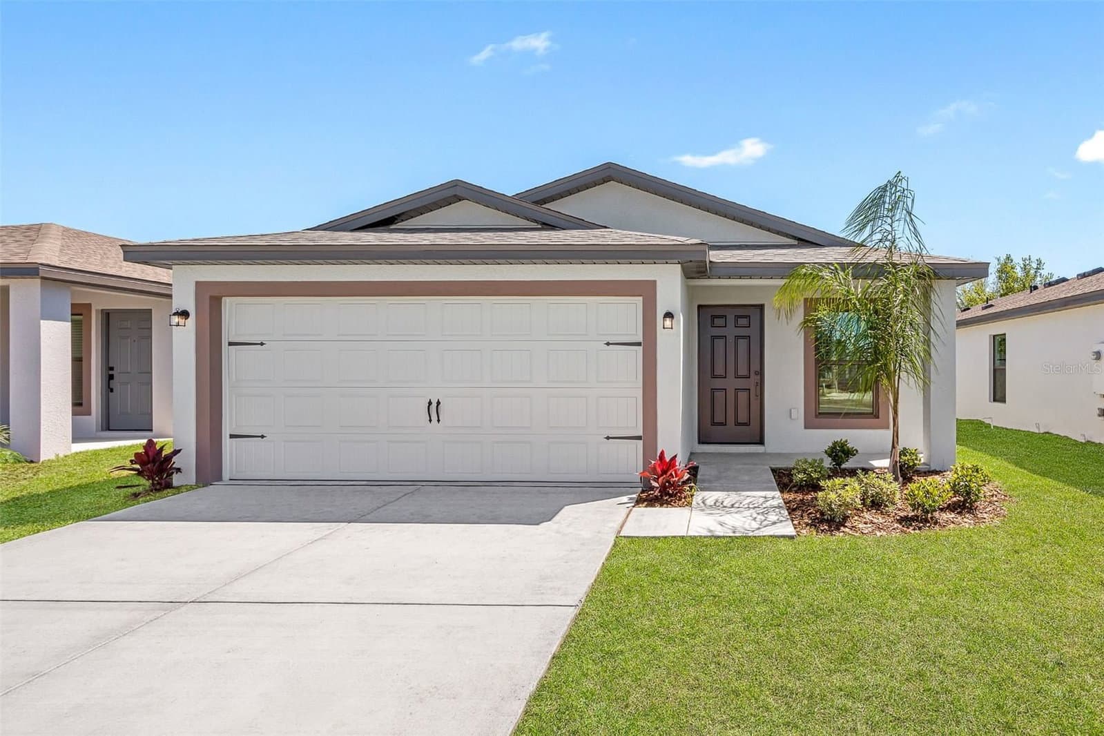 561 BLACKTHORN