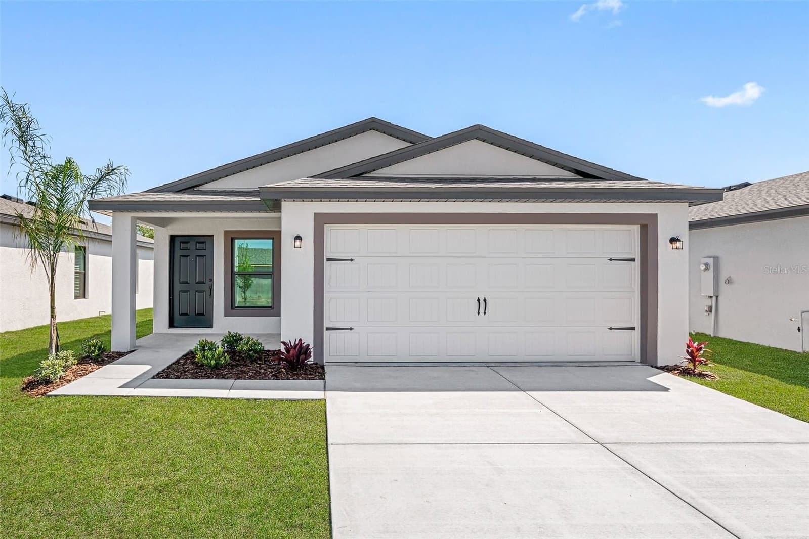 597 BLACKTHORN