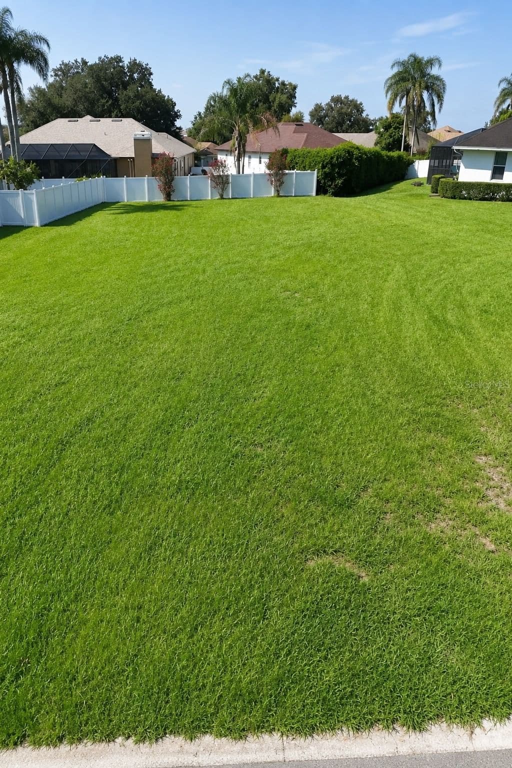 2116 LONGLEAF