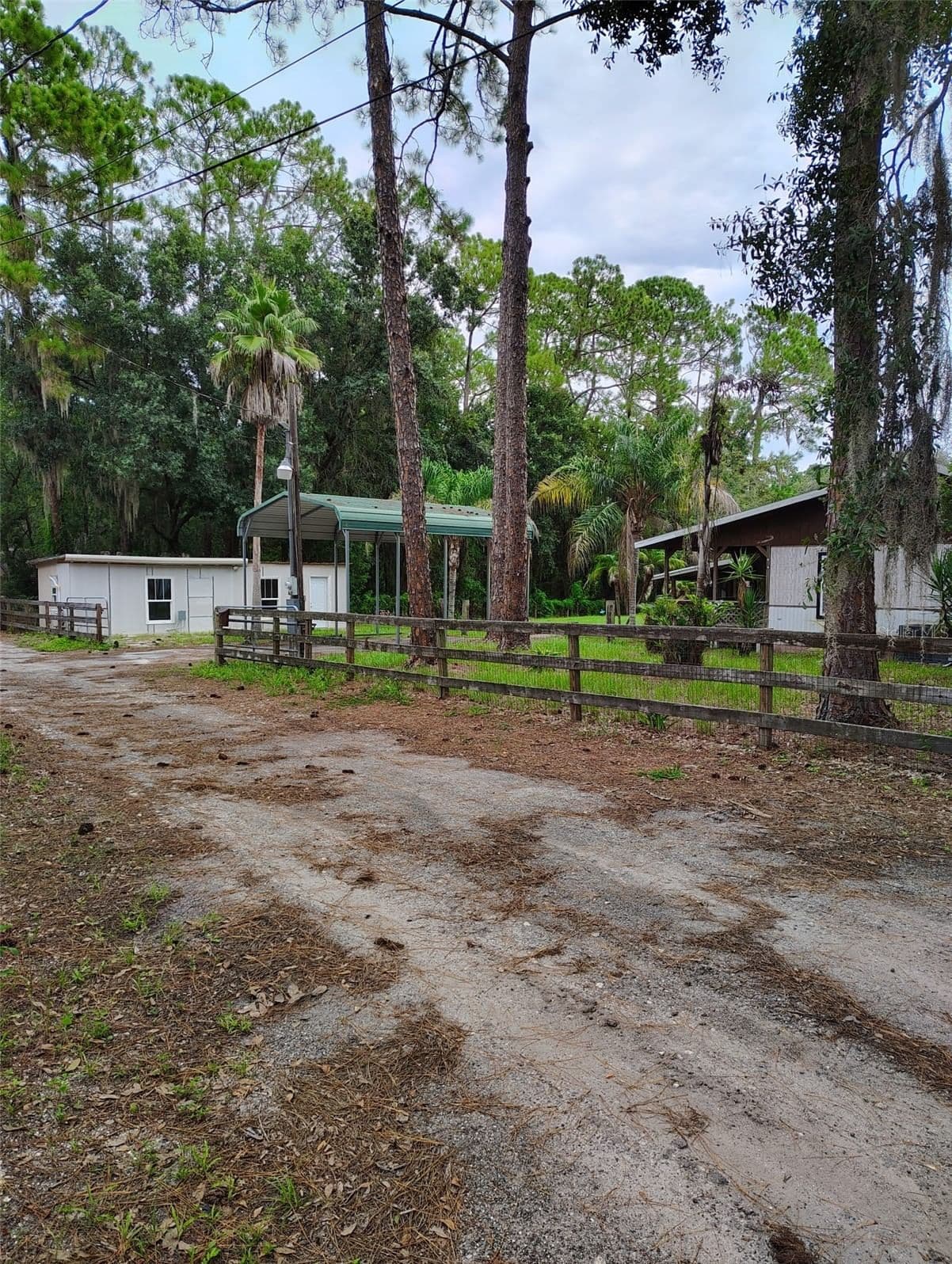 1741 BANANA, Lakeland, FL