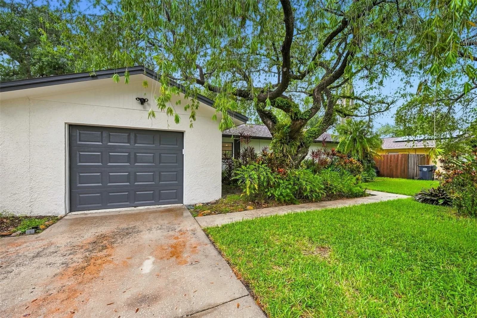 817 AMBASSADOR, Tampa, FL