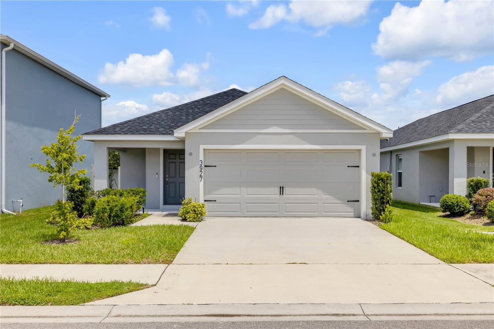 3927 PALAZZO