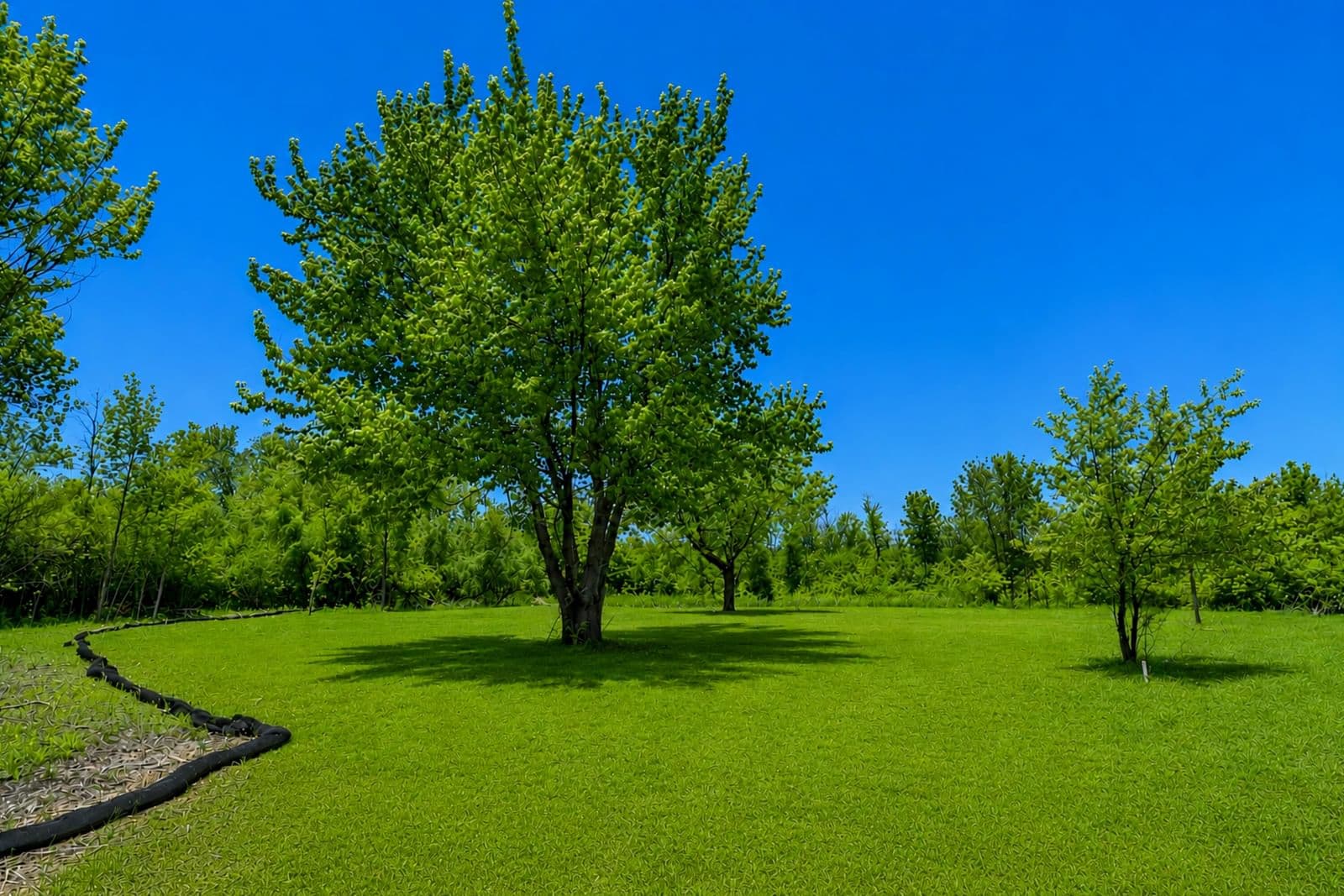 2516 Range Line, Mequon, WI