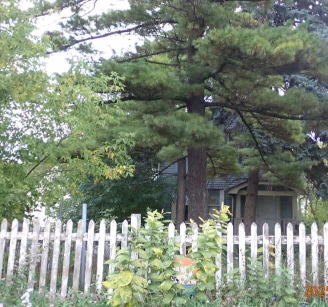 3164 35th