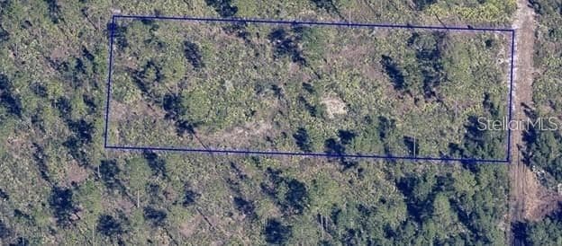 DILL