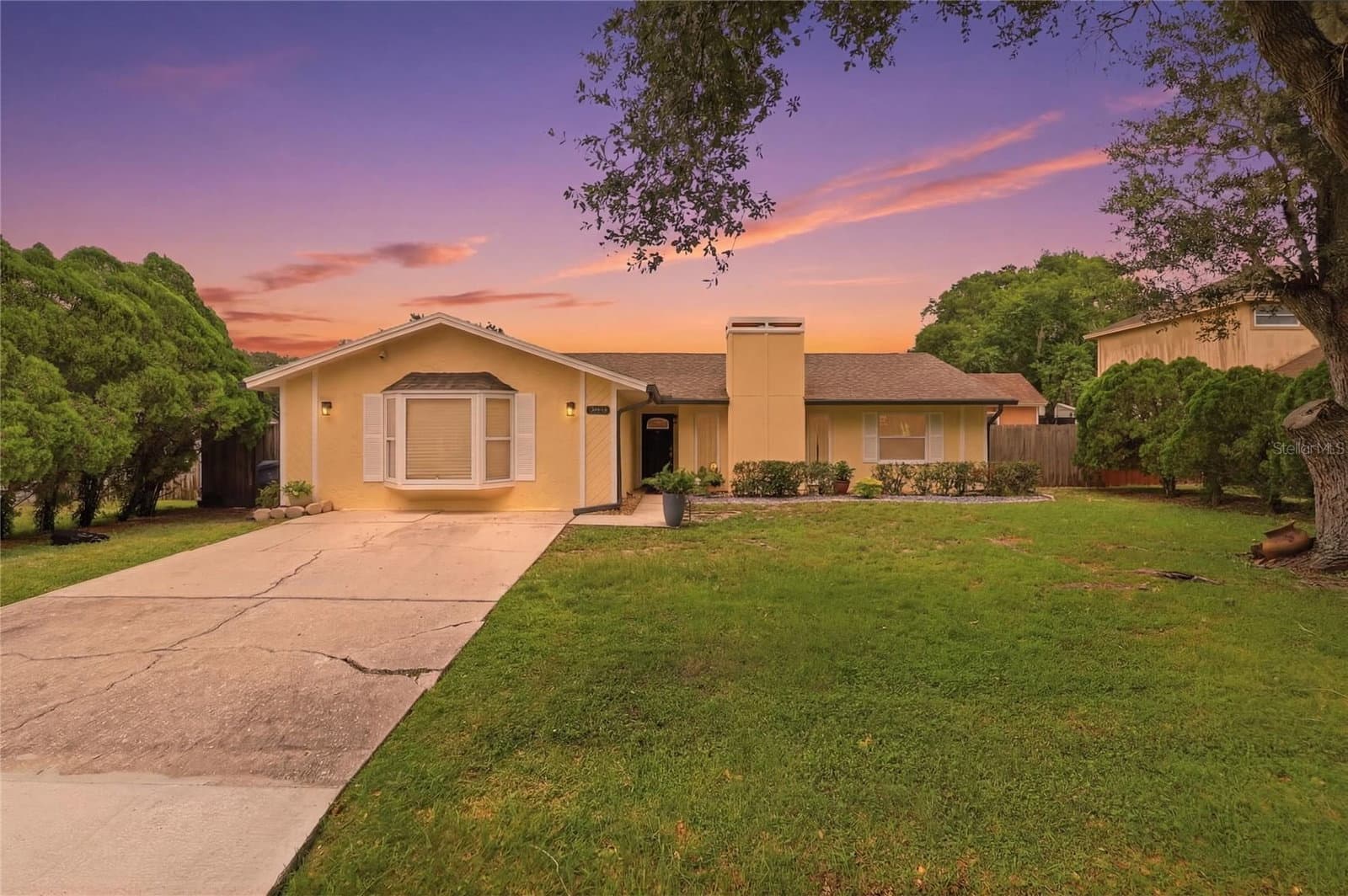 4934 WILDFLOWER