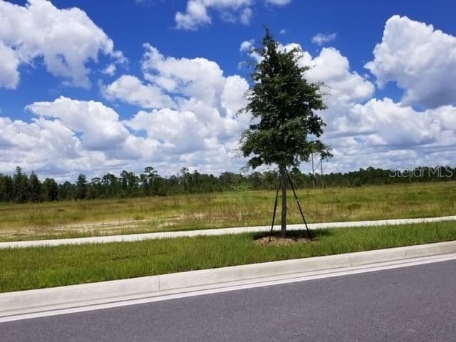 APOPKA VINELAND