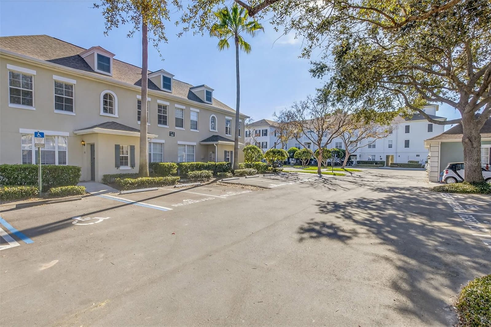 760 SIENA PALM
