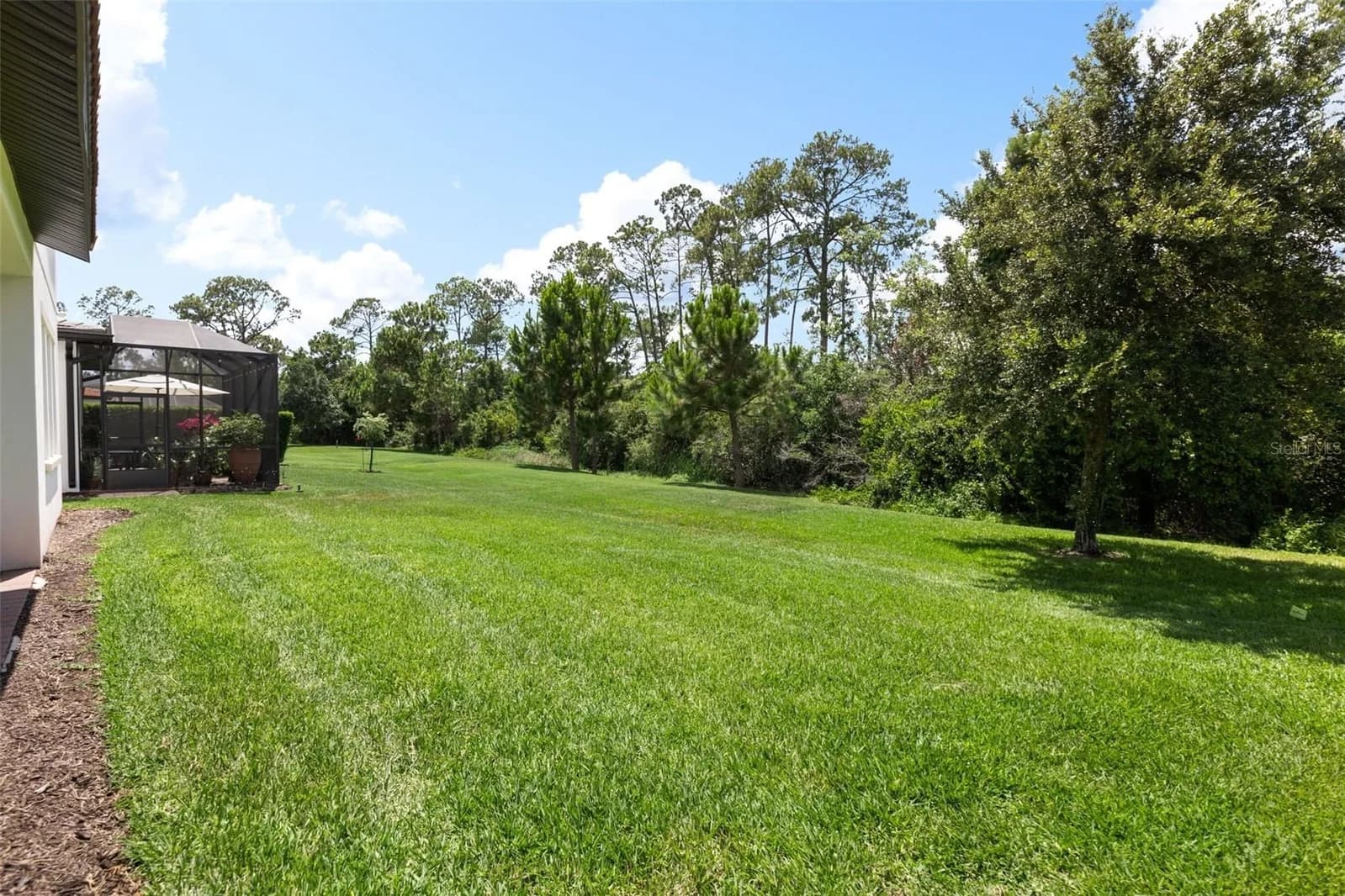 10396 ROYAL CYPRESS