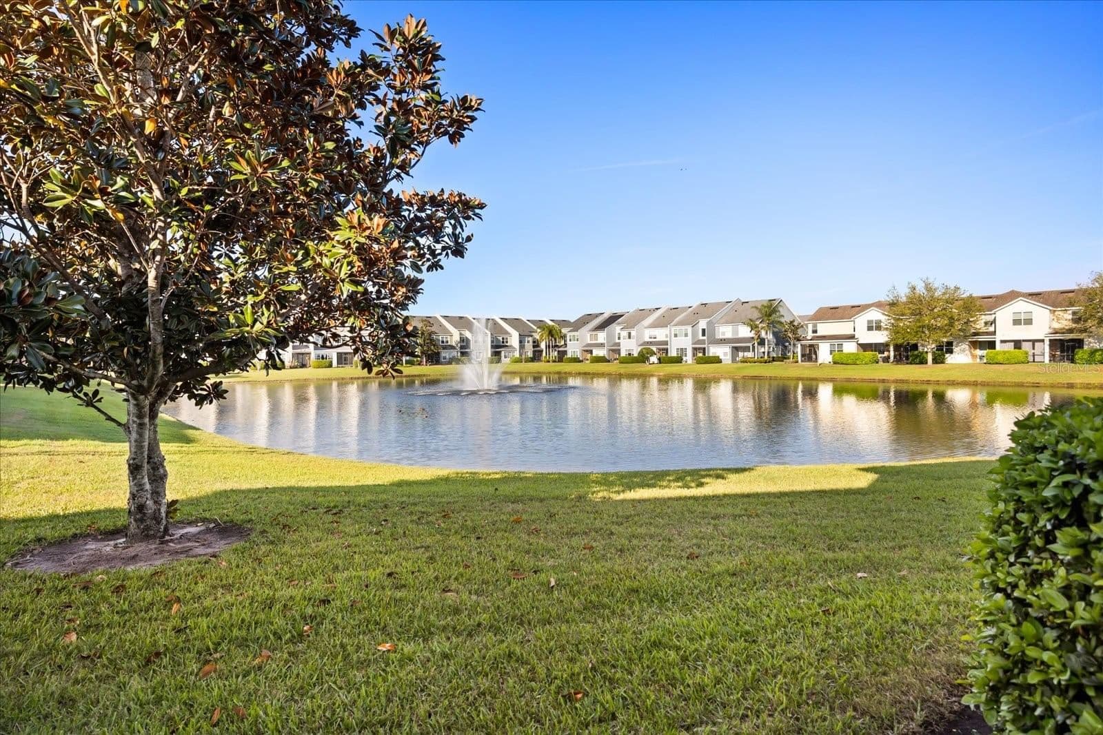723 TERRACE SPRING