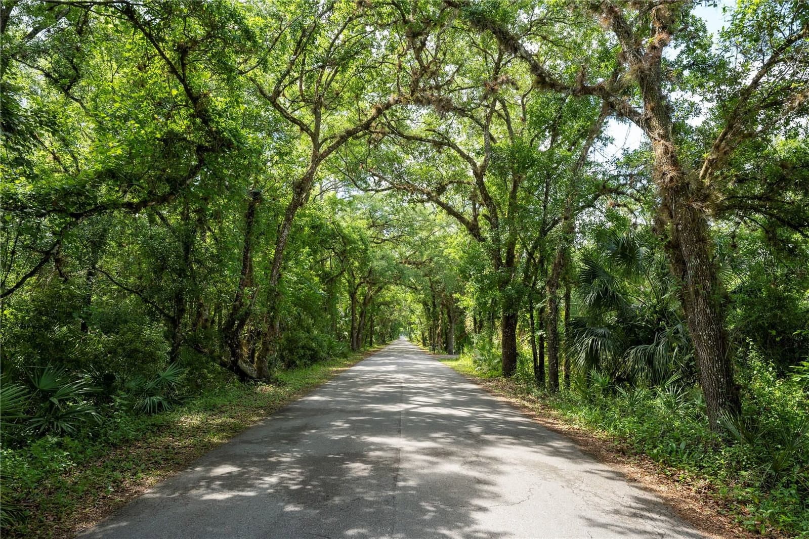 651 COUNTY ROAD 13