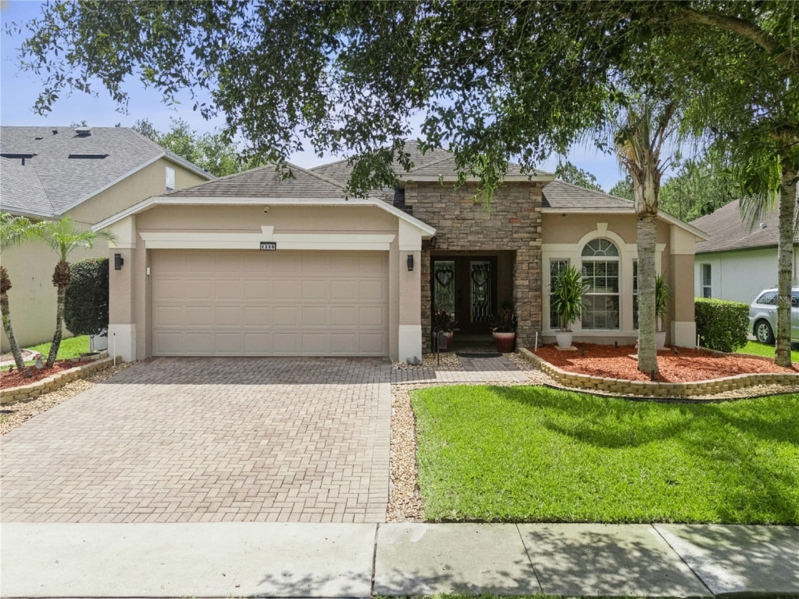 1519 BALSAM WILLOW