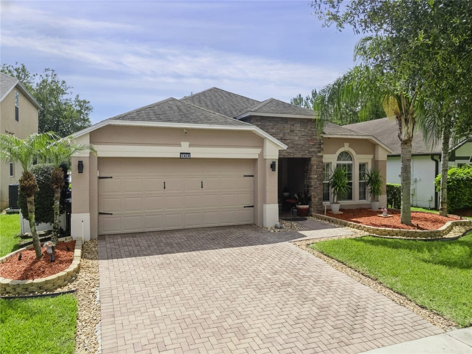 1519 BALSAM WILLOW