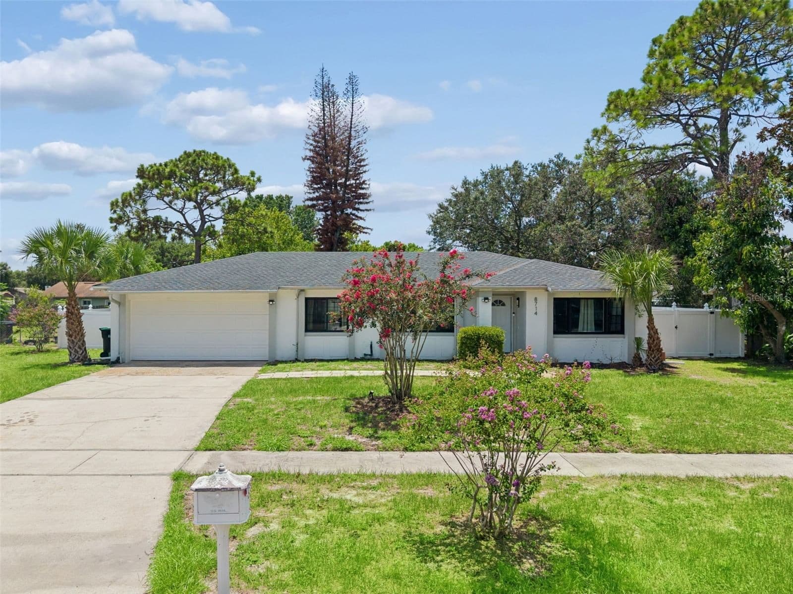 8714 HILL PINE