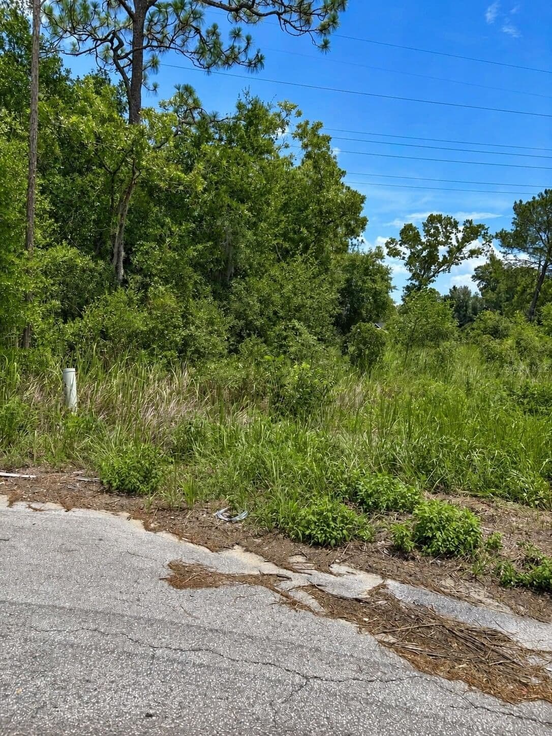 WATER TRACK LOT 08