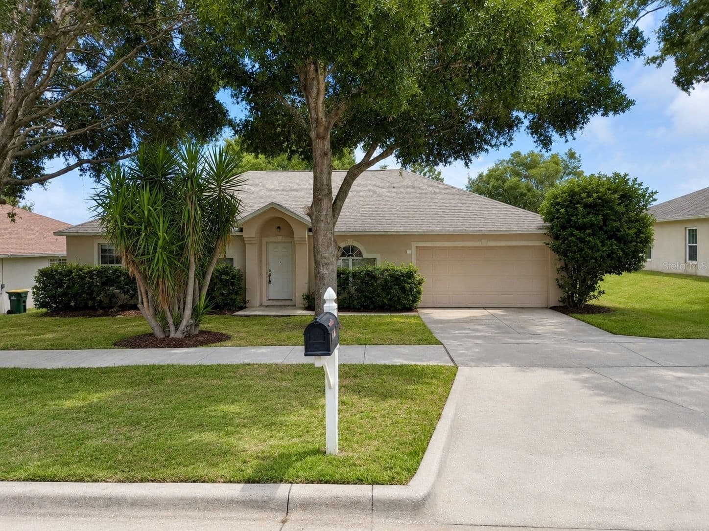 2885 WHITE MAGNOLIA
