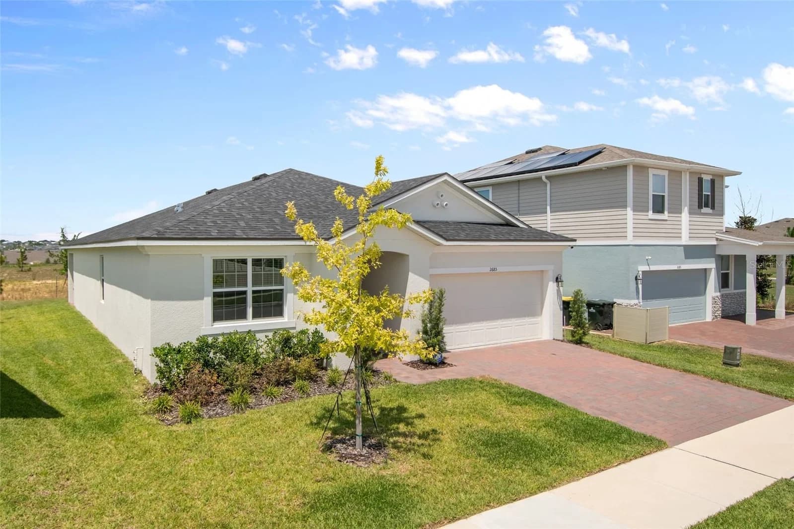 2685 SWEET ACACIA