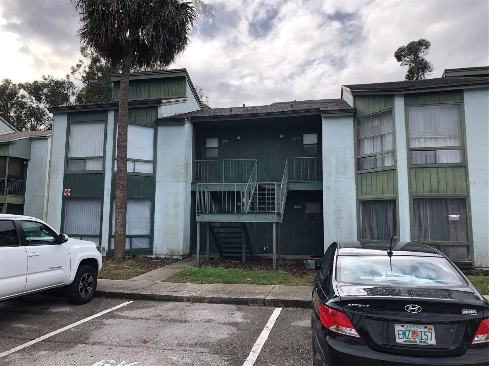 2616 LEMON TREE