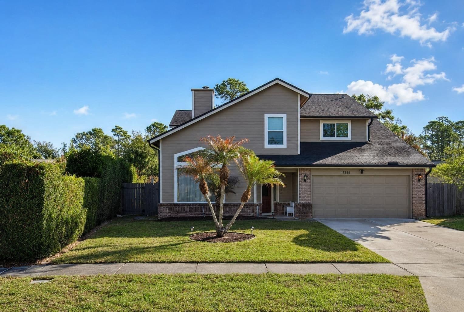 11296 CYPRESS LEAF